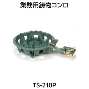 TS210P