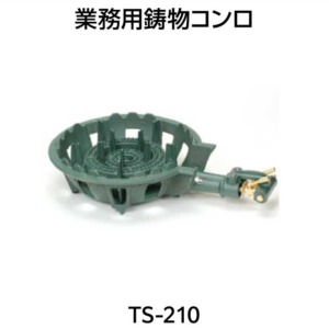 TS210